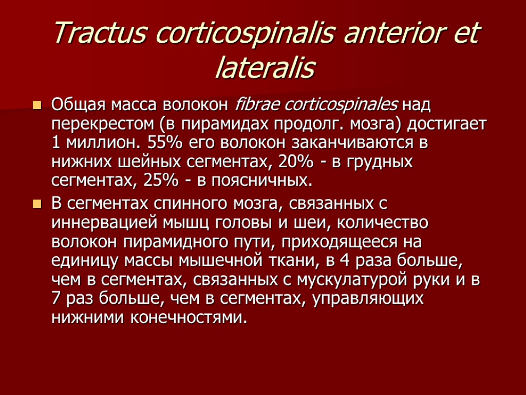 Tractus corticospinalis anterior et lateralis Общая масса волокон fibrae corticospinales над перекрестом (в пирамидах